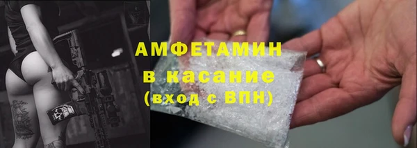 прущие грибы Абинск