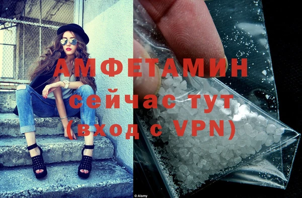 прущие грибы Абинск