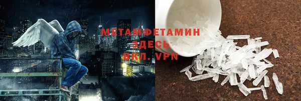 прущие грибы Абинск