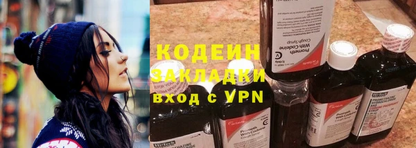 прущие грибы Абинск